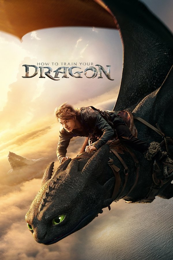 How to Train Your Dragon  poster