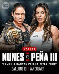 UFC 289: Nunes Vs. Aldana poster