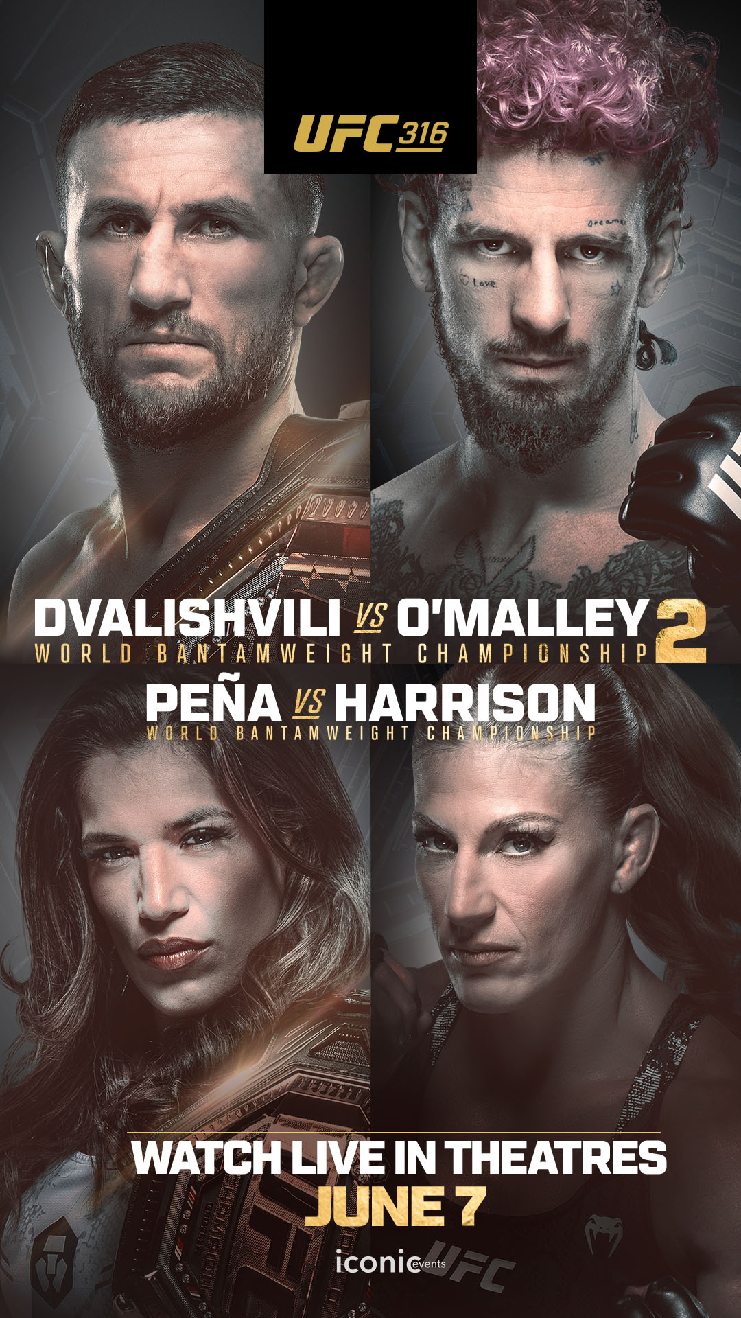 UFC 316: Dvalishvili vs O'Malley 2 poster